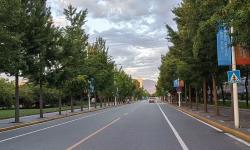 Featured image of post BUAA CO P3 单周期CPU的logisim搭建