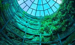 Featured image of post BUAA CO P4 单周期CPU的verilog搭建