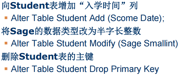 你看不到的图片-20251231211201064
